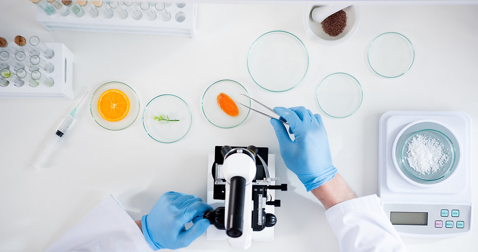 Petri Dishes