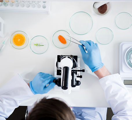 Petri Dishes