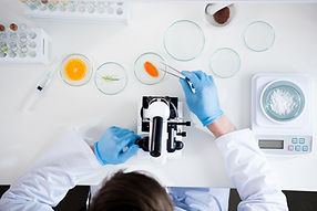 Laboratory Experiment Scene