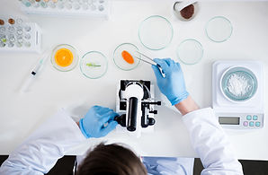 Petri Dishes
