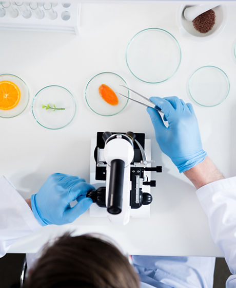 Petri Dishes
