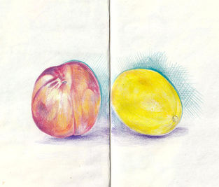 colored pencils illustration of a peach and a lemon.
