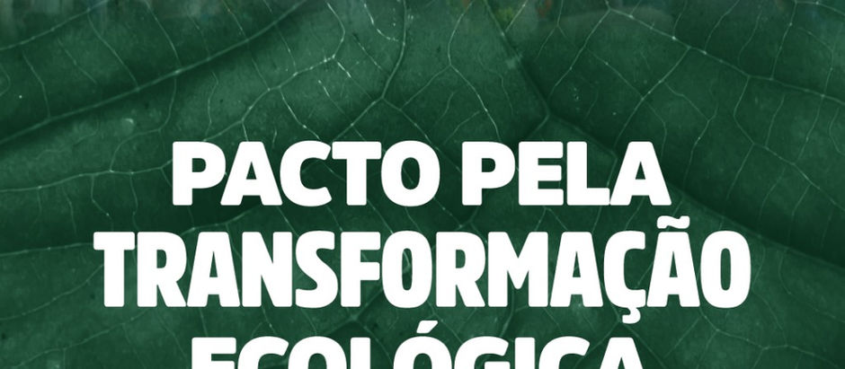 Executivo, Legislativo e Judiciário começam a debater medidas conjuntas de promoção da transformação ecológica