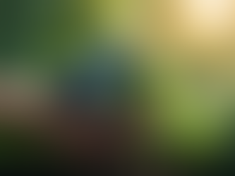 ARTIGO: DIA DA TERRA - QUE FUTURO QUEREMOS VIVER?