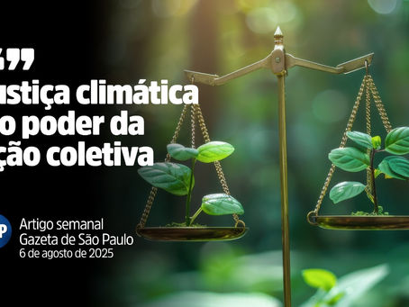 Organismos multilaterais são indispensáveis para enfrentar a crise climática