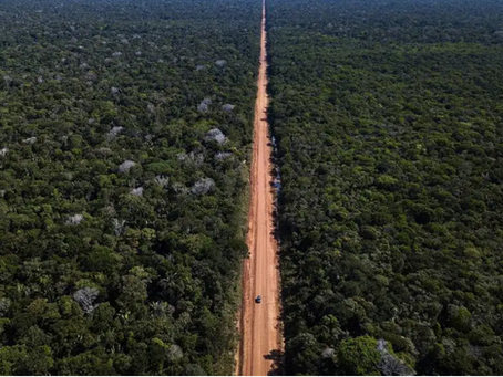 Brasil deve dar consequência a sua liderança climática