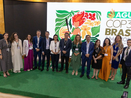 Na COP, Tatto defendeu maior responsabilidade dos parlamentos no enfrentamento à crise climática