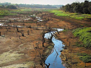 Falência hídrica no estado de São Paulo