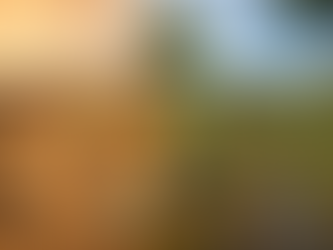 Desertificação afeta o ambiente natural, a produção de alimentos, a economia local e permanência das populações nos territórios