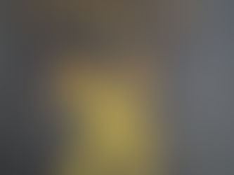 Collins Suzanne: Die Tribute von Panem X