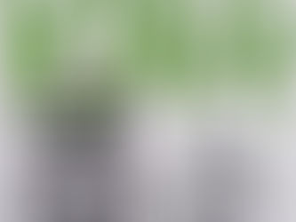 King Stephen: The Green Mile