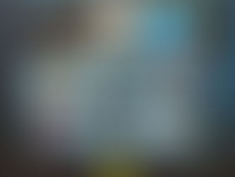 McFadden Freida: The Housemaid - Wenn sie wüsste