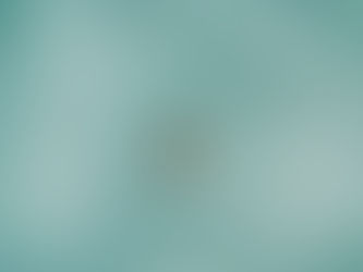 How Rabbit SEO Transformed Our Traffic in Just One Week