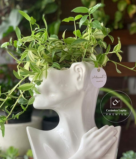 Maceta modelo Dama Elite decorada con planta.
