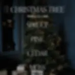 Christmas Tree Scent by Sweet Water Decor