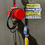 Thumbnail: Black Bear 1 Ton Electric Chain Hoist, Model: YSF-100, 12 FT Lift, 110V