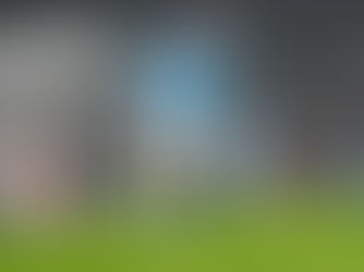 Player Picks, Premier League, GW17