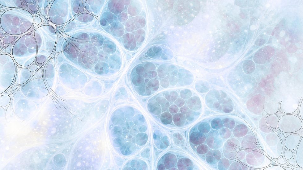 image0.png
