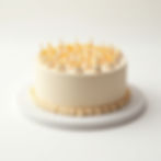 Majestic Barrage Cake