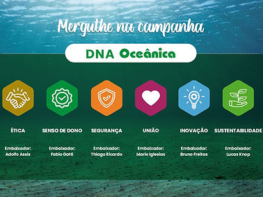 WhatsApp Image 2025-02-07 at 16.27.17.jpeg