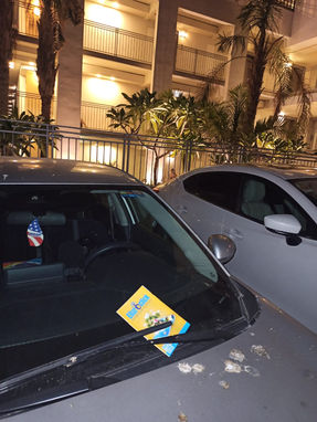 WhatsApp Image 2022-08-16 at 11.18.51.jpeg