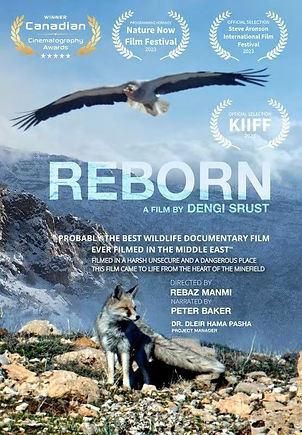 REBORN 2023
