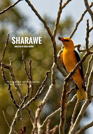SHARAWE