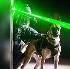 Police dog laser guided