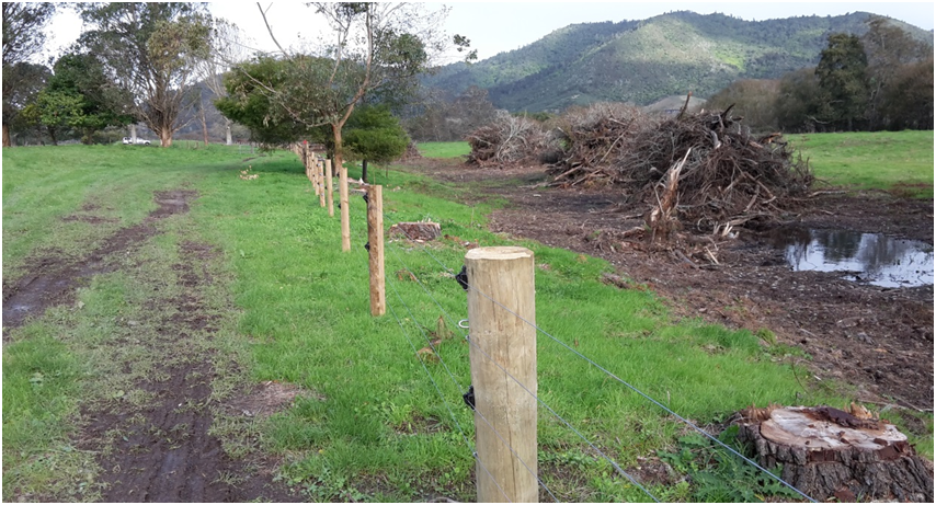 Ki Weanganui Fence May 2015.png