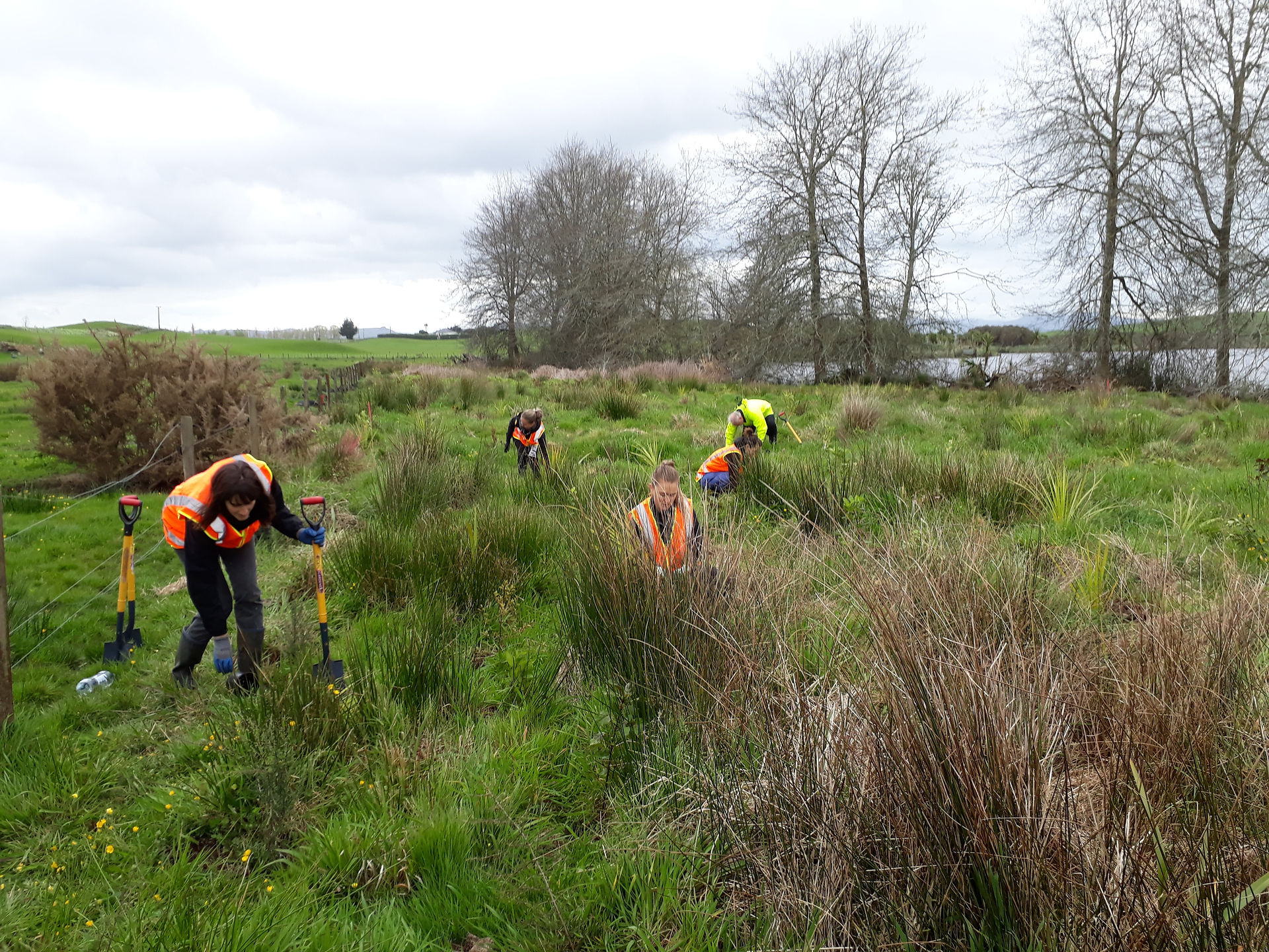 Volunteers hard at work (2)