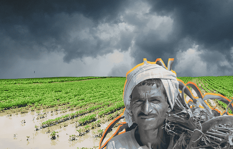 science-2024-09-16T102105.191 (1).png