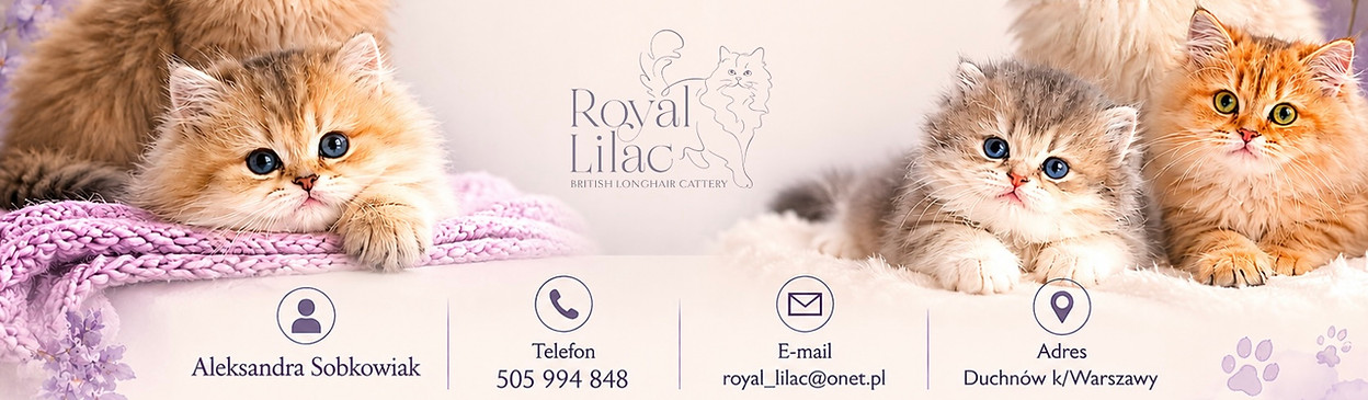 stopka-royal-lilal.jpg