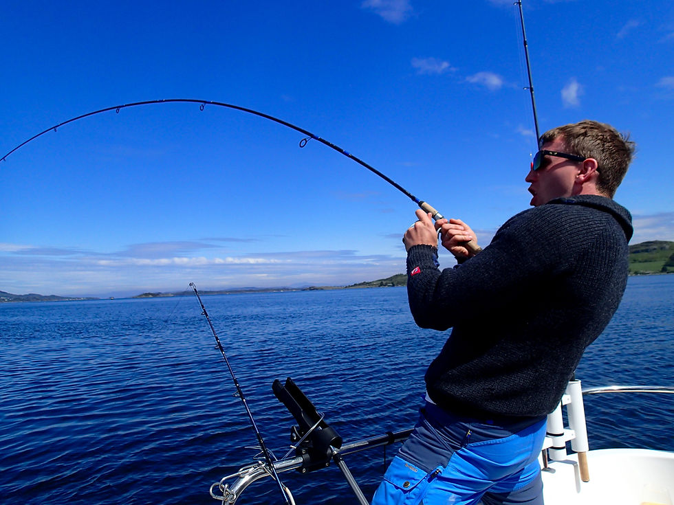 Private fjord fishing in Stavanger with local guide, calm coastal waters and rod bent under load