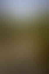 Stavanger Adventure - Premium Private Guided Hike - Stavanger Area