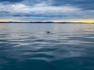 Calm fjord waters near Stavanger during a private fjord fishing tour.