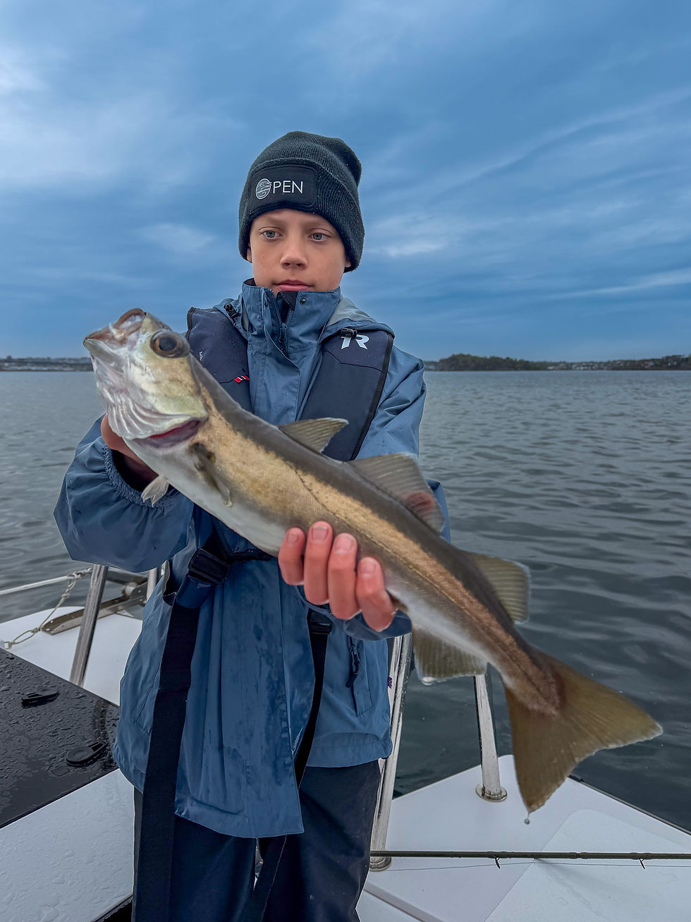 Pollock (lyr) caught during overcast and light rain conditions in Stavanger fjord, Norway