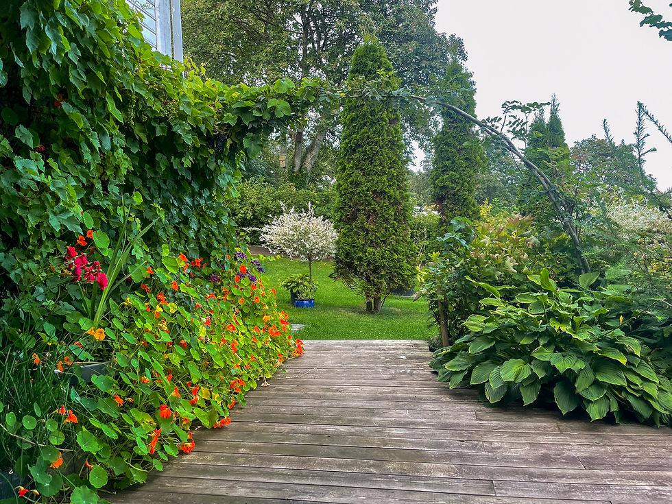 A lush garden path on a small island near Stavanger, surrounded by flowers and greenery, offering a calm stop during a private fjord experience.