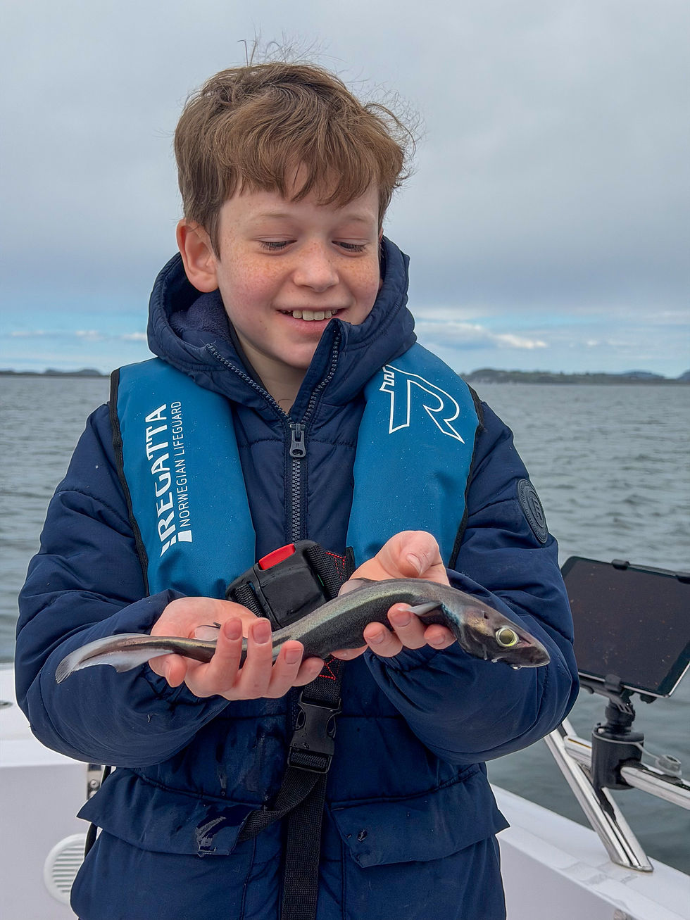 Young angler holding a small velvet belly lanternshark caught during a private fishing trip in the Stavanger fjords of Norway.
