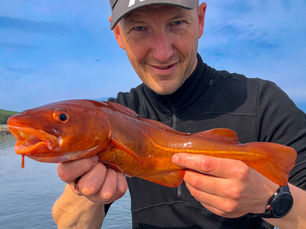 Local guide holding cod during a calm fjord fishing trip in Norway