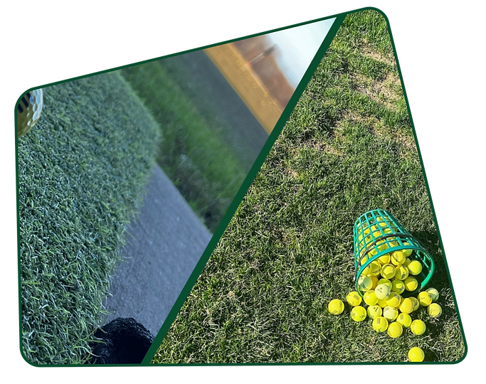 Grass and Outdoors Photo.png