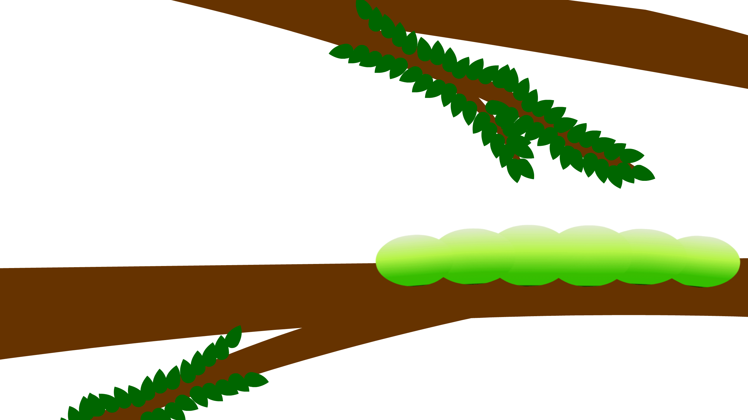 Exercise 8 - Asset Warping Bitmaps.gif