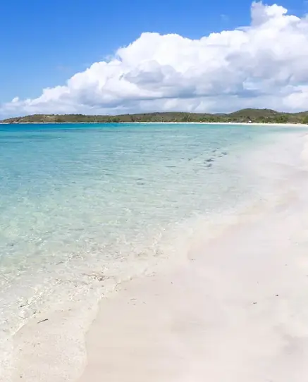 vieques bye.webp