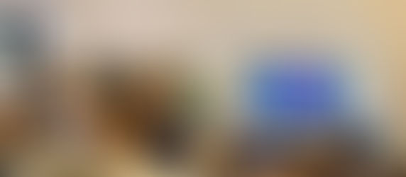 WOW! Conference 2020