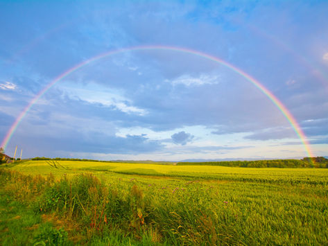 Seeing Miracles Through Persistent  Prayer