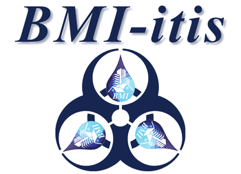 BMI-itis Logo.png