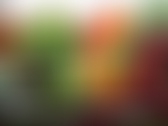 Kung Food: The Martial Artist's Guide to Nutrition