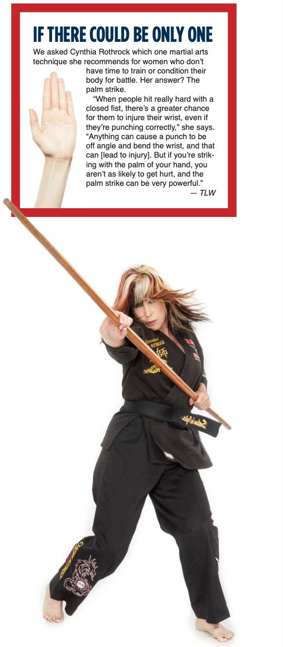 Martial artist in a black uniform with a wooden staff in a strike pose. Text highlights the power of palm strikes. White background.