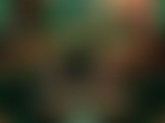 PFL Africa to Bring the Largest MMA Event to West Africa With Historic Nigeria Debut in Lagos on June 13