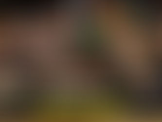 Tickets on Sale May 22 for Historic PFL Africa Debut Showcasing Continent’s Top MMA Talent in Cape Town on July 19