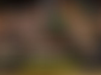 Tickets on Sale May 22 for Historic PFL Africa Debut Showcasing Continent’s Top MMA Talent in Cape Town on July 19